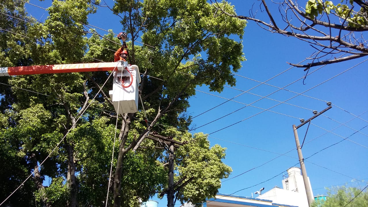 Imagem é uma fotografia colorida e mostra funcionário da prefeitura no auto de braço mecânico podando  copa de uma árvore. O céu está azul, é possível ver postes e fios no alto. 